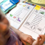 Develop Reading – Phonics Fun! Level 2
